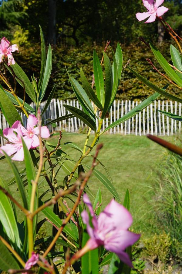 Vakantiehuis Vlakbij Het Strand En Natuur Villa Biervliet Exterior foto