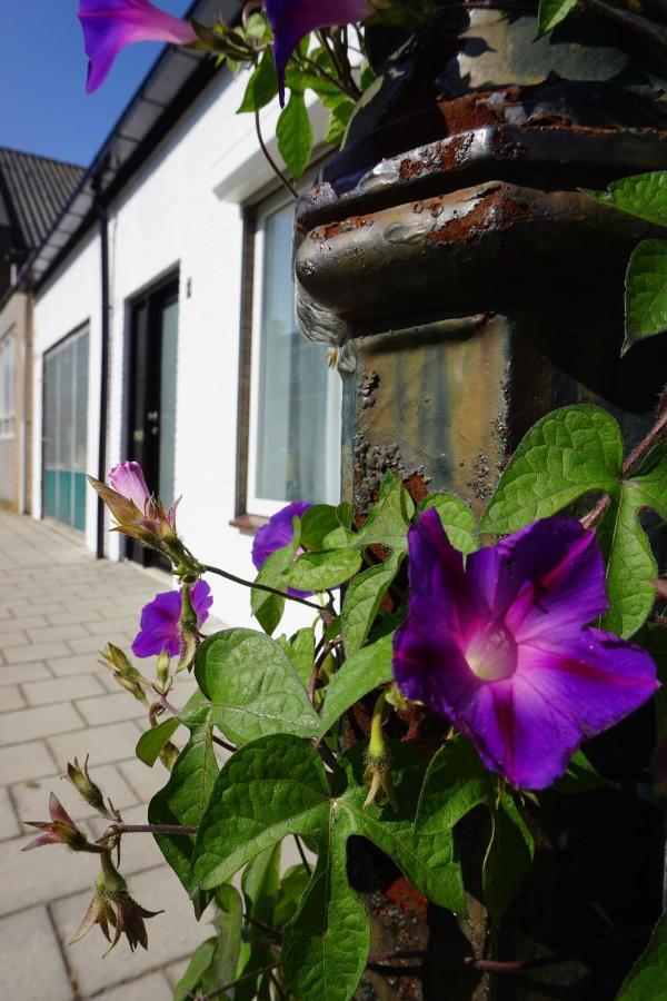 Vakantiehuis Vlakbij Het Strand En Natuur Villa Biervliet Exterior foto